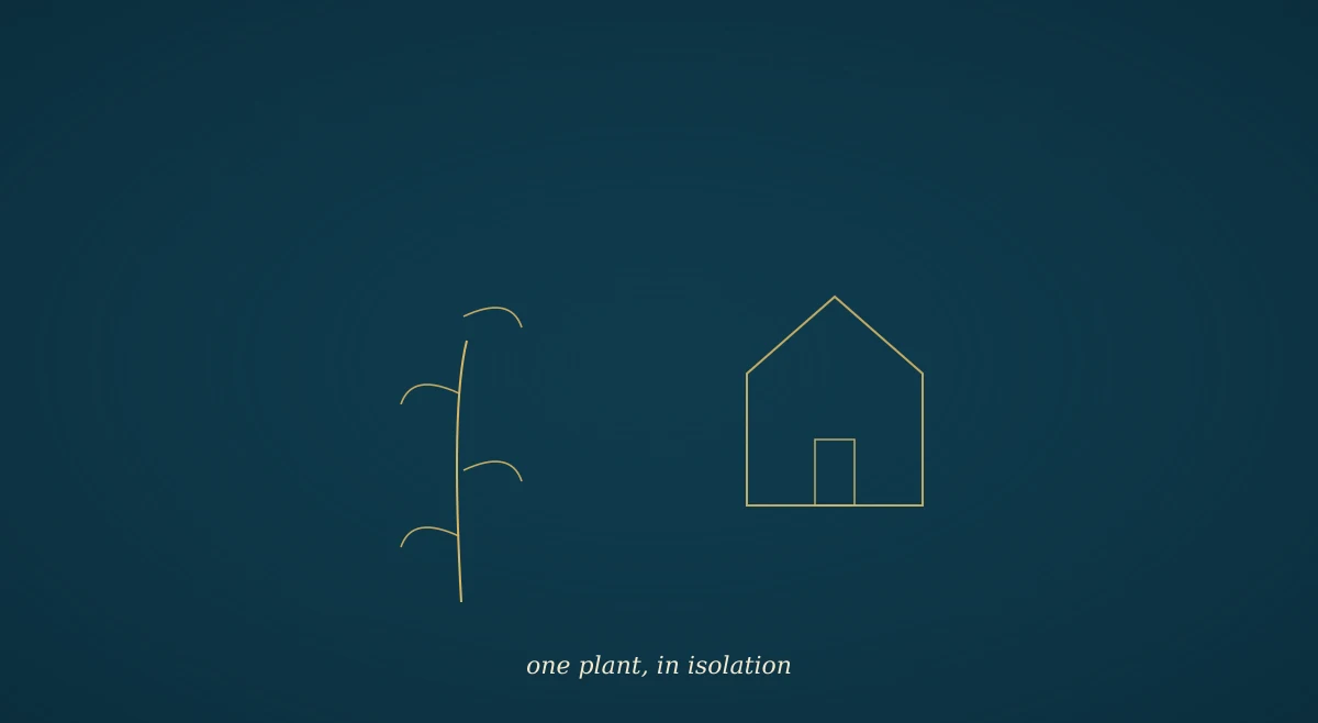 A small forest hut suggested in gold line on a navy field, with the silhouette of a single plant stem rising beside it.