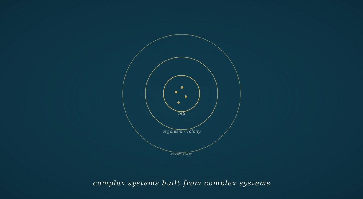 A dark navy field with three nested rings in gold, each labelled: an inner ring (cell), a middle ring (organism / colony), an outer ring (ecosystem) — a diagram of complex adaptive systems built from complex adaptive systems.