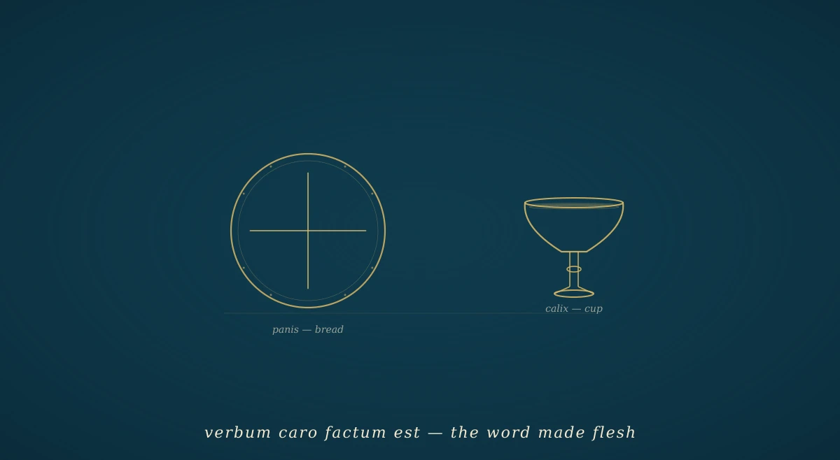 A deep navy field with two gold-outlined elements on a shared table-line: on the left, a round loaf of bread with a cruciform score across its top and small texture-marks around its rim; on the right, a simple chalice with a bowl, a stem with a central node, and a wide foot, a hint of liquid at the rim. The composition reads as the elements of a meal — the central mystery of chapter 6.