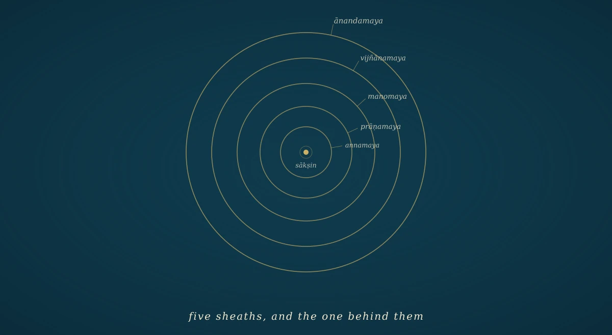 Five nested gold rings on a deep navy field, labelled from the outside in as annamaya (body), prāṇamaya (breath), manomaya (mind), vijñānamaya (intellect), and ānandamaya (baseline), with a single central dot marking the sākṣin — the observer behind the stack.