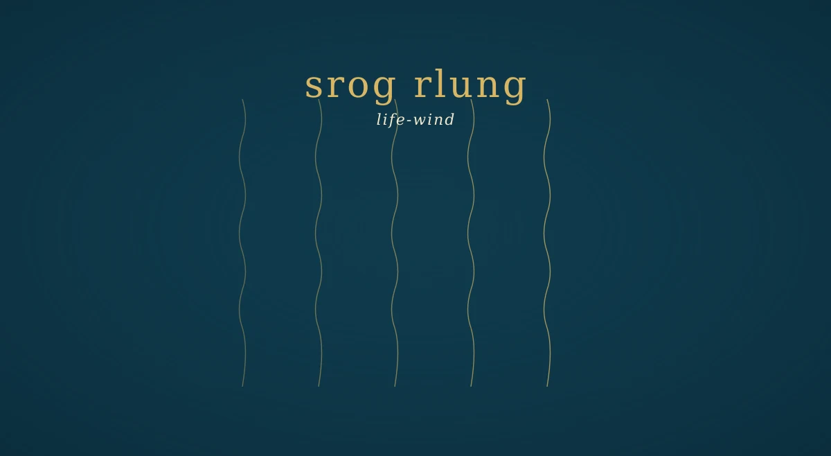 A Tibetan medical thangka detail in muted navy and gold: a stylised torso with wind lines, and a small inscription naming srog rlung.