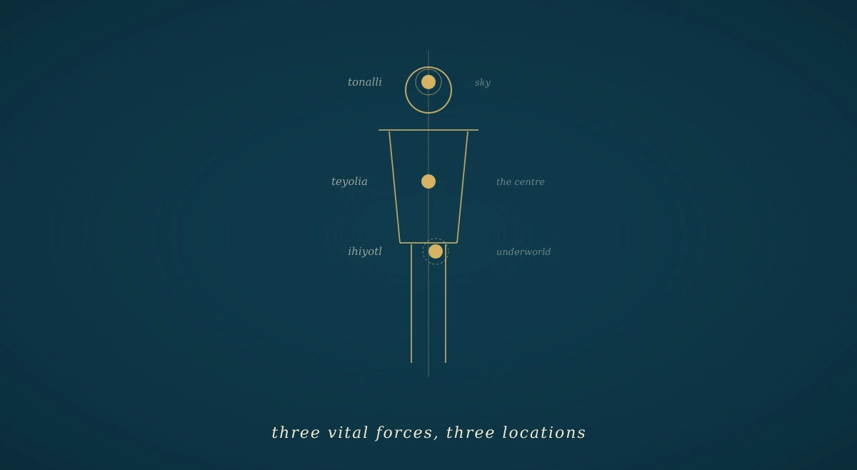 A deep navy field with a stylised vertical human figure in gold line; three gold circles mark its three vital centres — the crown of the head (tonalli), the chest (teyolia) and the belly over the liver (ihiyotl).