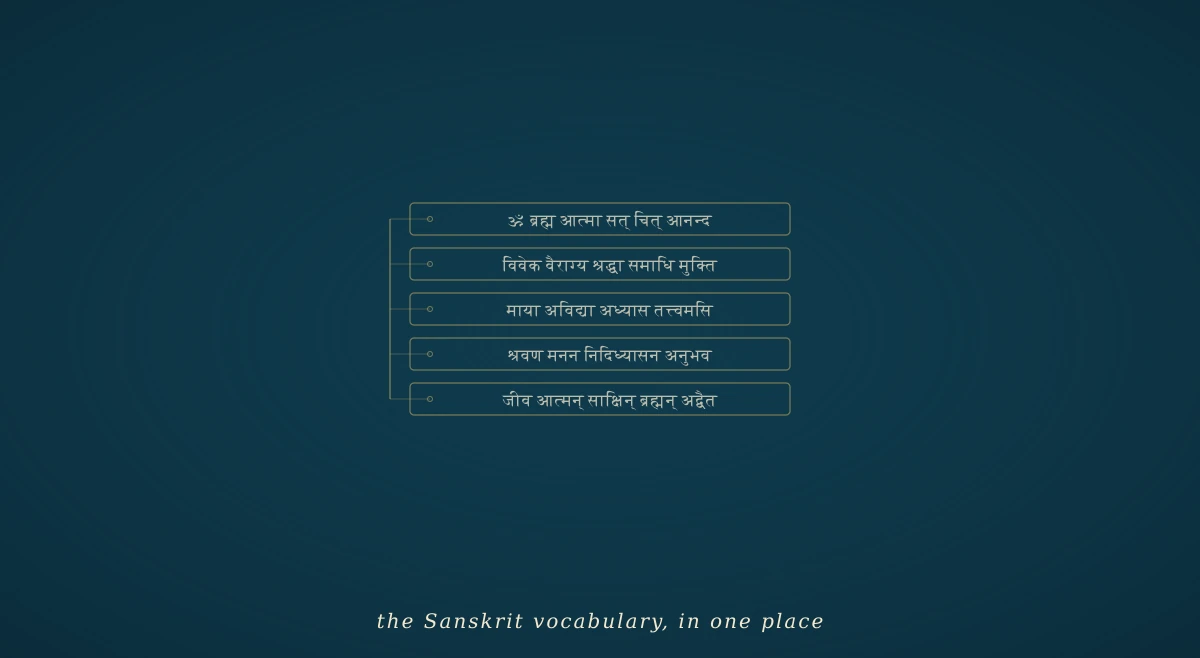 A deep navy field with a stylised gold palm-leaf manuscript, bound on one edge, with four lines of Devanāgarī letters visible — a visual reference to the oral-and-written transmission of the Sanskrit vocabulary.
